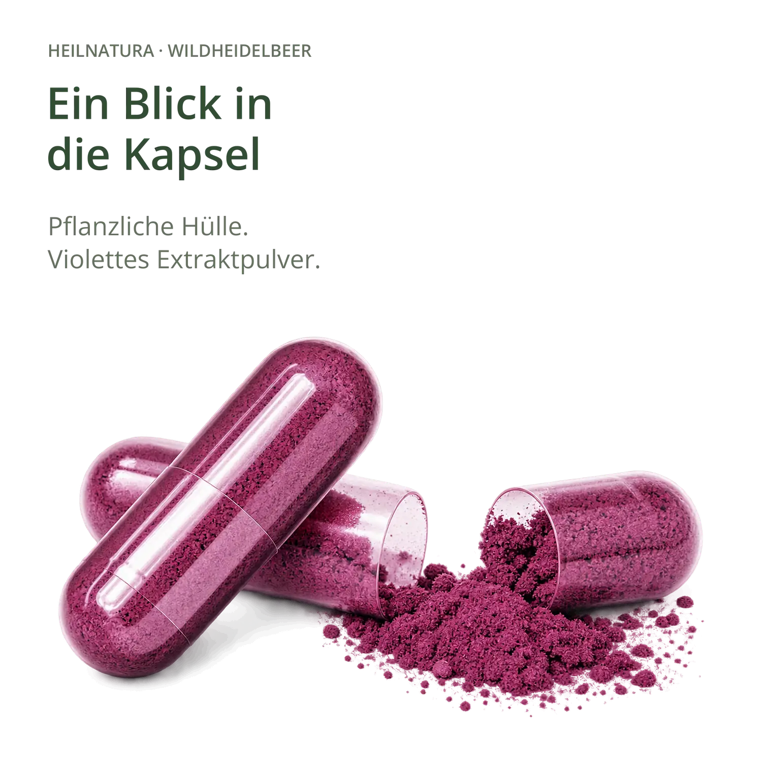 Nahrungsergänzungsmittel, Kapseln, Kapselhülle pflanzlich, Veilchenextrakt, Violettes Pulver