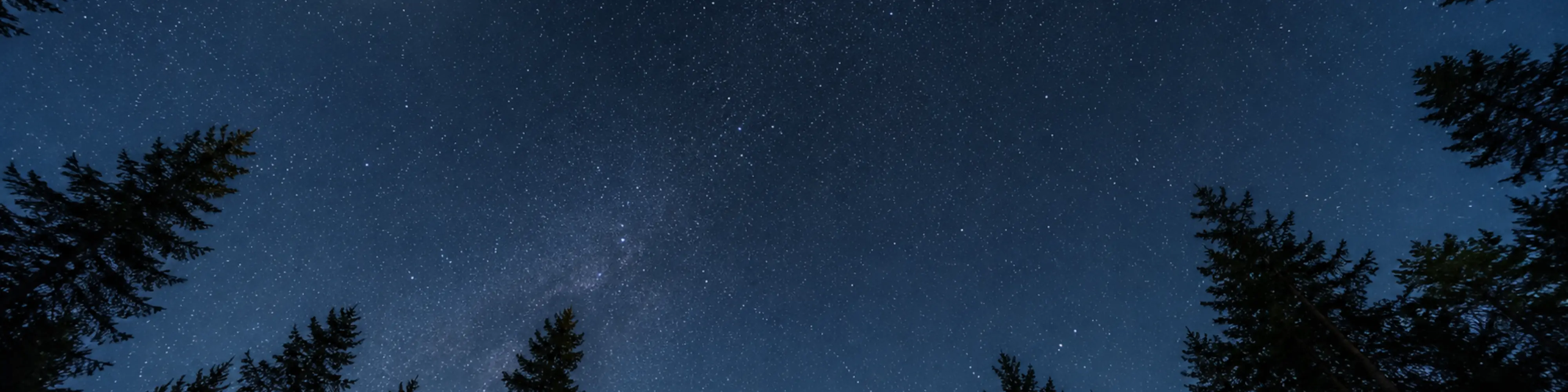 nacht, himmel, sterne, baeume, silhouette