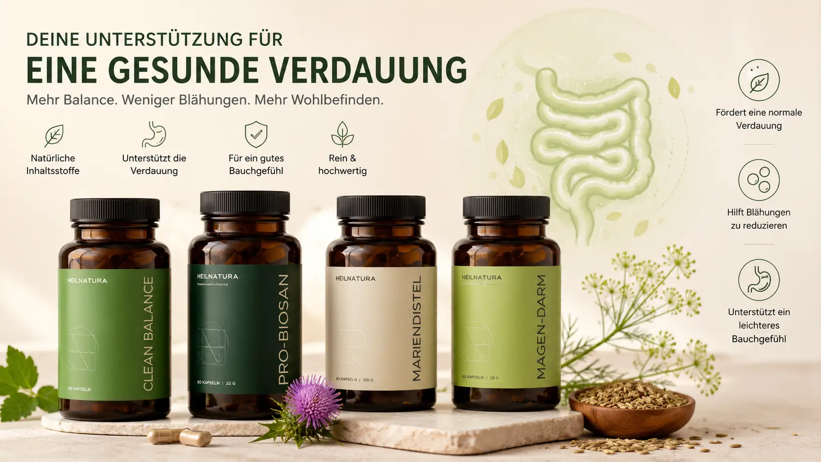 Verdauungs-Supplemente neben einer Darm-Illustration als mögliche Unterstützung beim Blähbauch loswerden