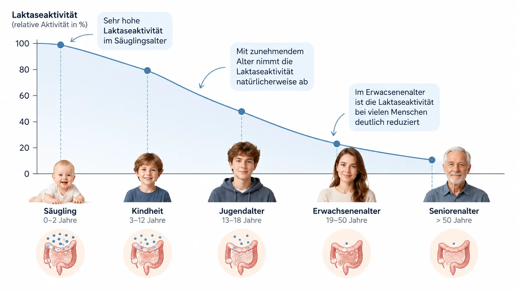 was ist Laktoseintoleranz: Schlichte Illustration zur abnehmenden Laktaseaktivität vom Kindesalter bis ins Erwachsenenalter.